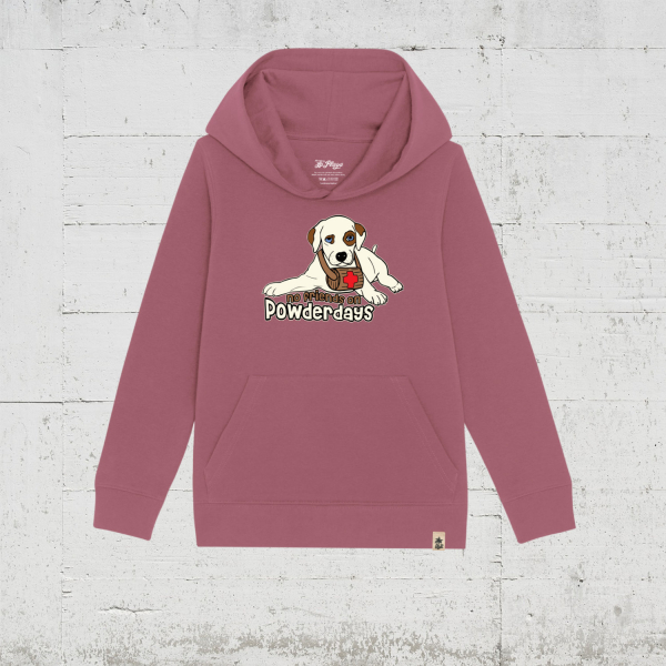 No Friends On Powderdays | Bio Hoodie Kids
